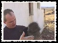 Foto 039